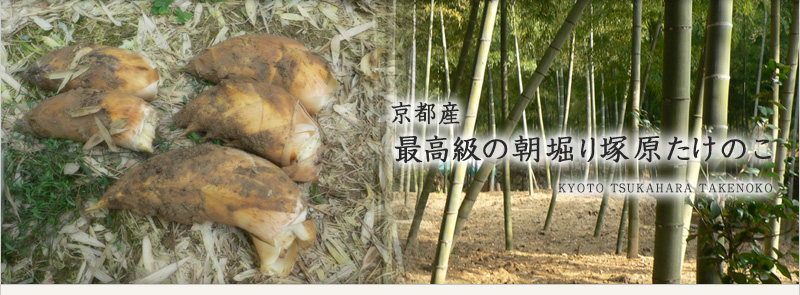 京都塚原の最高級筍（たけのこ）の通販